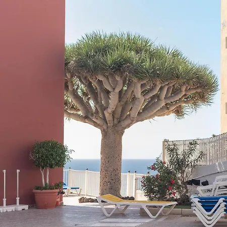With Sea View And Pool Maspalomas (Gran Canaria)
